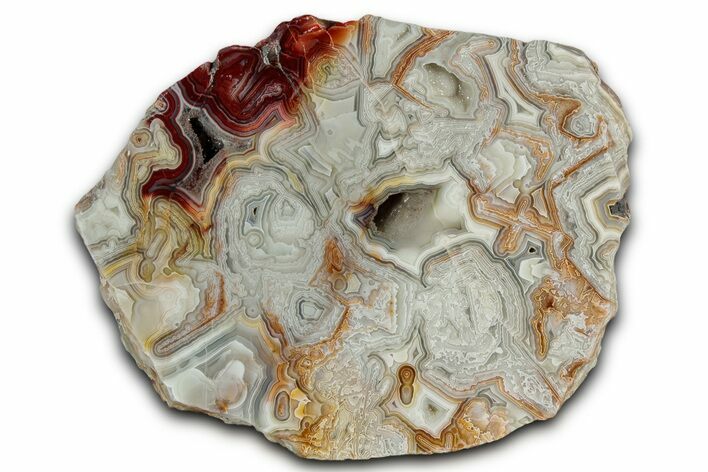 Polished Crazy Lace Agate Section - Mexico #326146